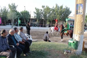 IMG_5531
