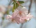 پیام نوروزی آقای حاجی