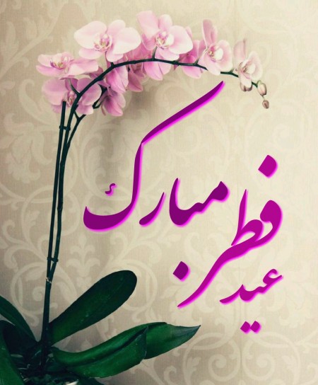 عید فطر پاداش افطارهای خالصانه و بجاست