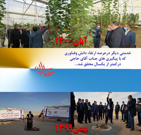 به ثمر نشستن گلخانه تولید بذر دانشگاه آزاد اسلامی واحد دولت آباد در کمتر از یکسال