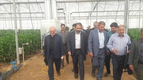 افتتاح یک واحد تولیدی کشت گلخانه ای با وسعت ۲۵ هکتار به دست آقای حاجی